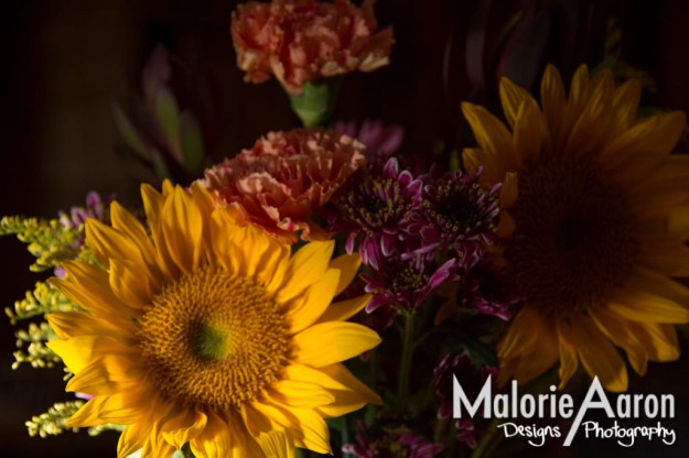 Malorie Aaron, Dave Black, Light painting, Caryn Esplin, BYU-Idaho, Sky Mountain Lodge, Victor Idaho, Idaho, flowers, sunflower, spring