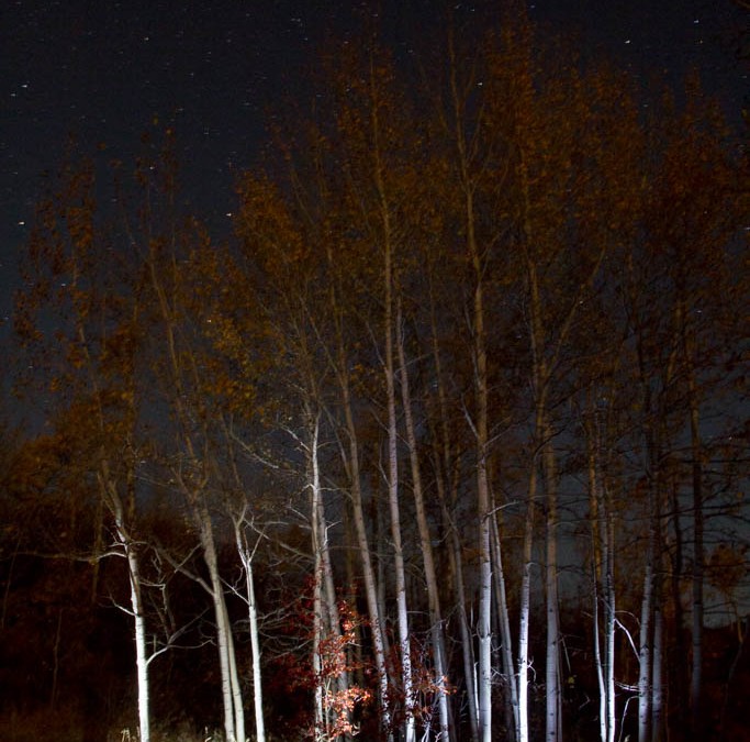 Malorie Aaron, Dave Black, Light painting, Caryn Esplin, BYU-Idaho, Sky Mountain Lodge, Victor Idaho, aspens