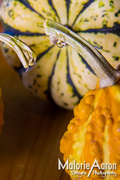 Malorie Aaron, Malorie Aaron Photography and Design, Macro, macro, product, fruit and veggie, squash, vegetables, water drop, Sky Mountain Lodge 