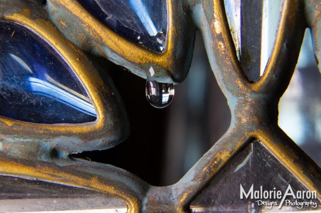 Malorie Aaron, Malorie Aaron Photography and Design, Water drops, Macro, photography, Sky Mountain Lodge, Wyoming, Rexburg Idaho, Up close