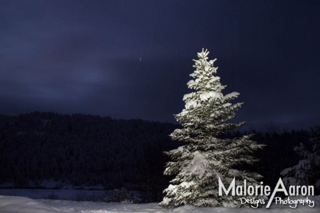 MalorieAaron, photography, winter, lightPainting, light, painting, snow, pineTrees, trees, white, blanket, fluffy, gorgeous, cabins, wy, Afton, Wyoming, mountains, ice