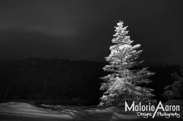 MalorieAaron, photography, winter, lightPainting, light, painting, snow, pineTrees, trees, white, blanket, fluffy, gorgeous, cabins, wy, Afton, Wyoming, mountains, ice