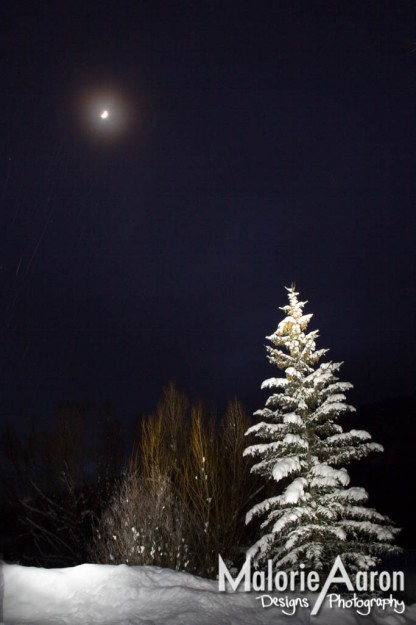 MalorieAaron, photography, winter, lightPainting, light, painting, snow, pineTrees, trees, white, blanket, fluffy, gorgeous, cabins, wy, Afton, Wyoming, mountains, ice