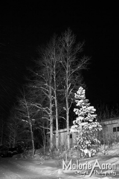 MalorieAaron, photography, winter, lightPainting, light, painting, snow, pineTrees, trees, white, blanket, fluffy, gorgeous, cabins, wy, Afton, Wyoming, mountains, ice