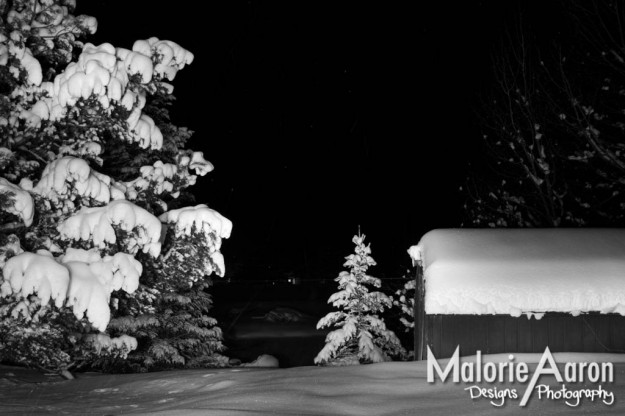 MalorieAaron, photography, winter, lightPainting, light, painting, snow, pineTrees, trees, white, blanket, fluffy, gorgeous, cabins, wy, Afton, Wyoming, mountains, ice