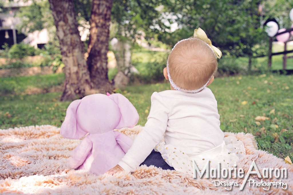 MalorieAaron, Photography, Davenport, Photographer, Iowa, QuadCities, one-year-old, baby, girl, portraits, park