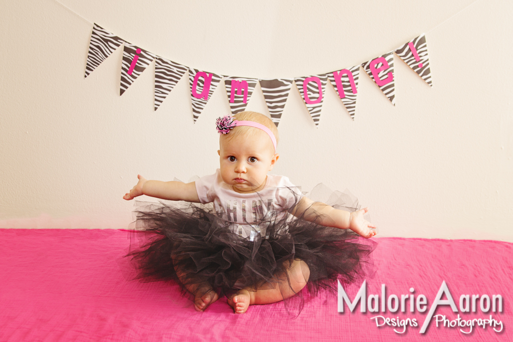 MalorieAaron, Photography, Davenport, Photographer, Iowa, QuadCities, one-year-old, baby, girl, portraits, tutu