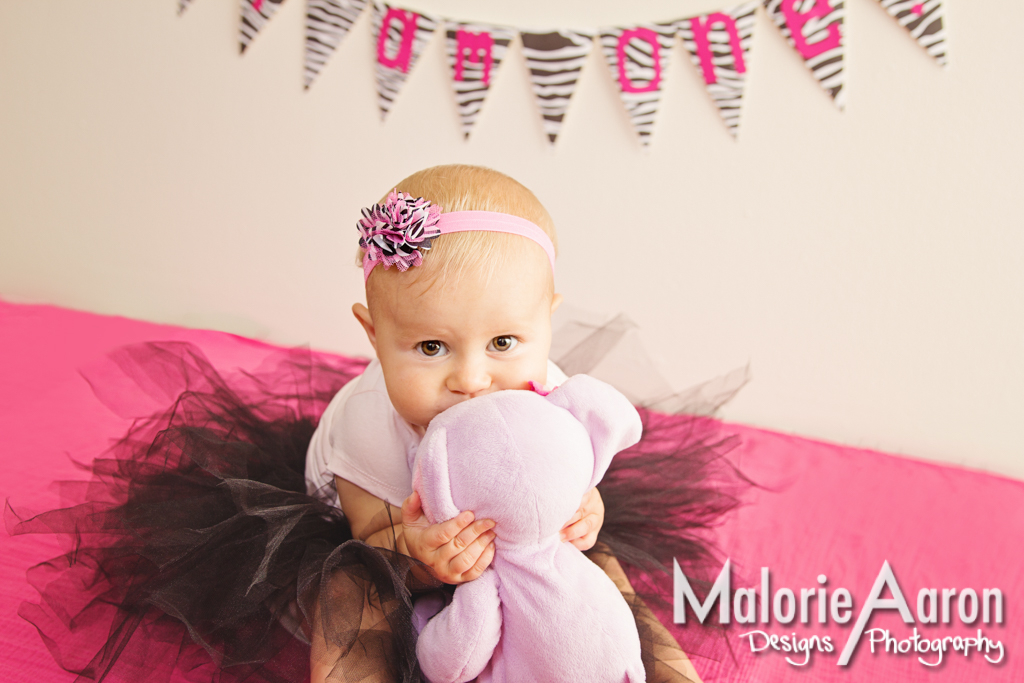 MalorieAaron, Photography, Davenport, Photographer, Iowa, QuadCities, one-year-old, baby, girl, portraits, tutu